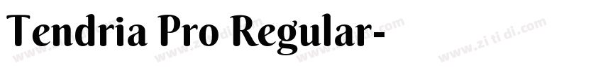 Tendria Pro Regular字体转换